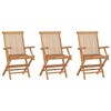 vidaXL Garden Chair Set of 3 Teak Brown Teak Wood Medium Foldable