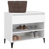vidaXL Shoe Cabinet White Engineered Wood, Metal Medium Shoe Cabinet