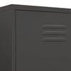 vidaXL Wardrobe Anthracite Steel Medium Height-Adjustable Shelves