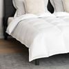 vidaXL Duvet Set with Pillow 3 pcs White Down Feather