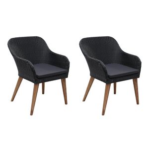 vidaXL Armchair Set of 2 Black PE Rattan Standard Removable Covers