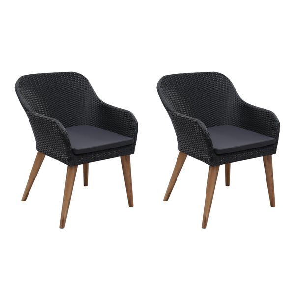 vidaXL Armchair Set of 2 Black PE Rattan Standard Removable Covers