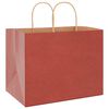 vidaXL Paper Bags 250 pcs with Handles Red 12.6x8.7x9.4"