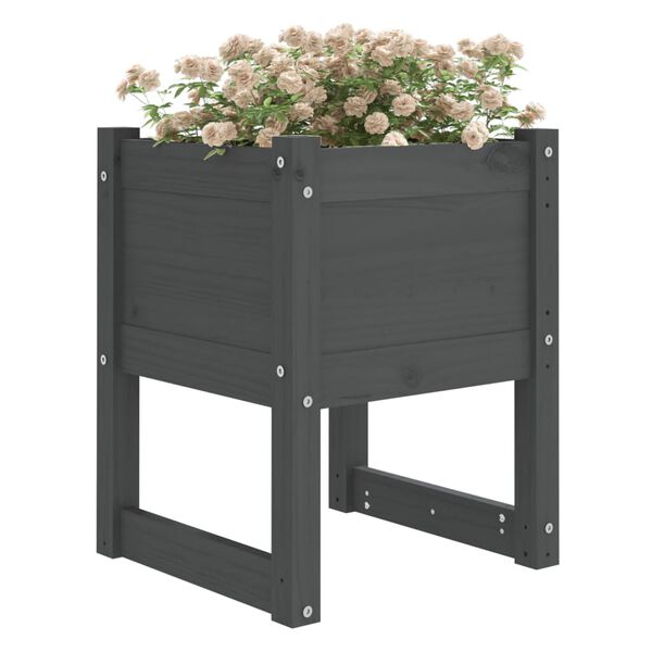 vidaXL Planter Set of 2 Gray Solid pine wood Medium Planters Planter