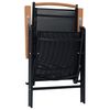 vidaXL Garden Chair Set of 2 Black Powder-coated aluminum, textilene