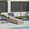 vidaXL Folding Sun Lounger with Cushion and Storage Beige Poly Rattan