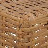 vidaXL Coffee Table Natural Rattan Brown and Black