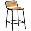 vidaXL Bar Stool Set of 2 Brown and Black Solid rough mango wood, Iron