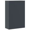 vidaXL File Cabinet Anthracite Powder-Coated Steel Large