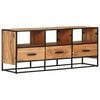 vidaXL TV Cabinet Natural wood, Black