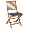 vidaXL Garden Chair Set of 6 Anthracite Solid Acacia wood Foldable