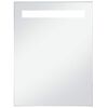 vidaXL Bathroom Mirror Silver Glass 23.6 x 31.5 in Lights