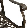 vidaXL Garden Chair Set of 2 Bronze Cast Aluminum Standard Tough