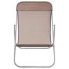 vidaXL Beach Chair Brown Powder-coated steel, textilene Standard