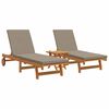 vidaXL Sun Lounger 3 pcs Brown 40 x 40 x 40cm Solid Acacia wood