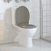 vidaXL Soft-Close Toilet Seat Grey Oval