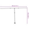 vidaXL Awning Post Set Anthracite Iron 177.2 x 96.5 in Height-Adjustable