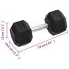vidaXL Dumbbells 2 pcs 55.1 lb Total Cast Iron