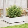 vidaXL Garden Planter White Solid pinewood Large Durable