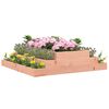 vidaXL Planter Natural Wood Solid Douglas Wood Large Durable Planter