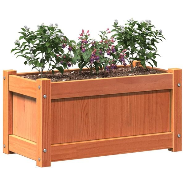 vidaXL Garden Planter Set of 2 Wax brown Solid pine wood