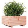 vidaXL Garden Planter Natural wood Solid Douglas wood Medium Durable
