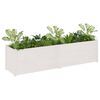 vidaXL Large Planter White Solid Pinewood Durable Rectangular