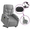 vidaXL Electric Stand Up Massage Recliner Chair Light Gray