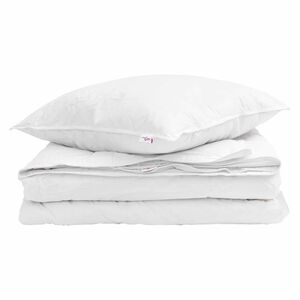 vidaXL 2-in-1 Duvet with Pillow 2 pcs White Down Feather