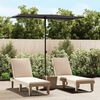 vidaXL Garden Parasol Anthracite Polyester, Aluminum 70.9 x 43.3 x 81.9 in