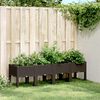 vidaXL Garden Planter Brown Polypropylene 63 x 15.7 x 16.5 in