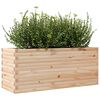 vidaXL Garden Planter Natural Wood Solid Pine Wood Large Garden Planter