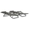 vidaXL Sunlounger Set of 2 Grey
