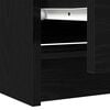 vidaXL TV Cabinet Black Engineered wood Medium TV Cabinet Rectangular