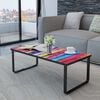 vidaXL Coffee Table Rainbow print on top with black frame