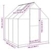vidaXL Greenhouse Silver and clear Aluminum, Polycarbonate Medium