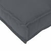 vidaXL Pallet Cushion Set 2 pcs Anthracite 120 x 40 x 8 cm