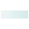 vidaXL Glass Panel Clear Tempered Glass 27.6x7.9 in Glass Shelf