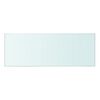 vidaXL Glass Panel Set of 2 Clear Tempered Glass 15.7 x 4.7 in