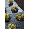 Nature Soil Cover Film Black LDPE (Low-Density Polyethylene) 9.8 x 13.1 ft
