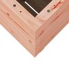 vidaXL Garden Planter Natural Douglas wood Solid Douglas wood