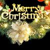 vidaXL Christmas Wreath Green PVC 11.8 in Decorative Inlays