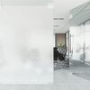 vidaXL Window Film Set of 4 Frosted PVC 23.6 x 196.9 in