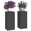 vidaXL Plant Stand 2 pcs Black 9.45 x 9.45 x 21.65 in Steel