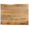 vidaXL Table Top Natural Wood Solid Mango Wood Large Table Top