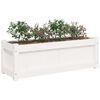vidaXL Garden Planter White Solid Pine Wood Medium Decorative Inlays