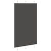 vidaXL Pleated Blind Black 100% Polyester 47.2 x 78.7 in