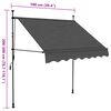 vidaXL Retractable Awning Anthracite Polyester Small Retractable