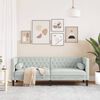 vidaXL Chesterfield Sofa Light grey Velvet (100% polyester) 3-Seater