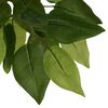 vidaXL Artificial Ficus Tree 756 Leaves 59.1" Green